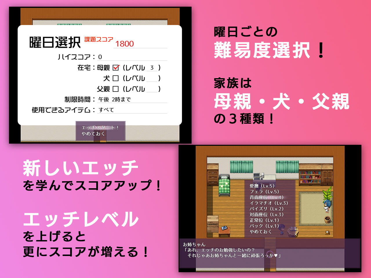 ないしょエッチ2 ～今度は家族のいるリビングで、ドキドキエッチ大作戦!～