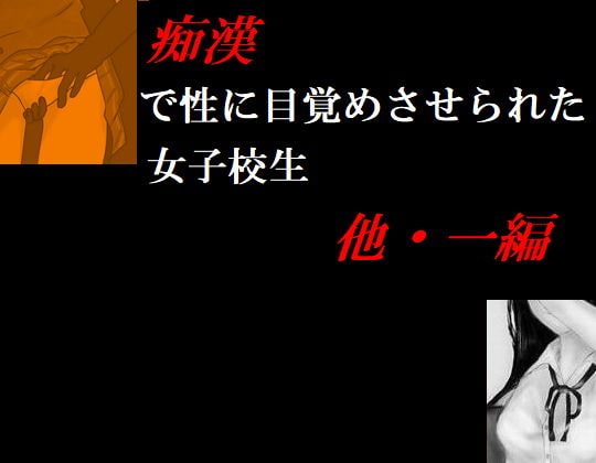 痴漢で性に目覚めさせられた女子校生 他・一編