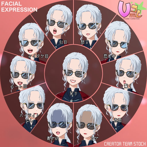 【月刊Vコレ】Vコレセット第4弾