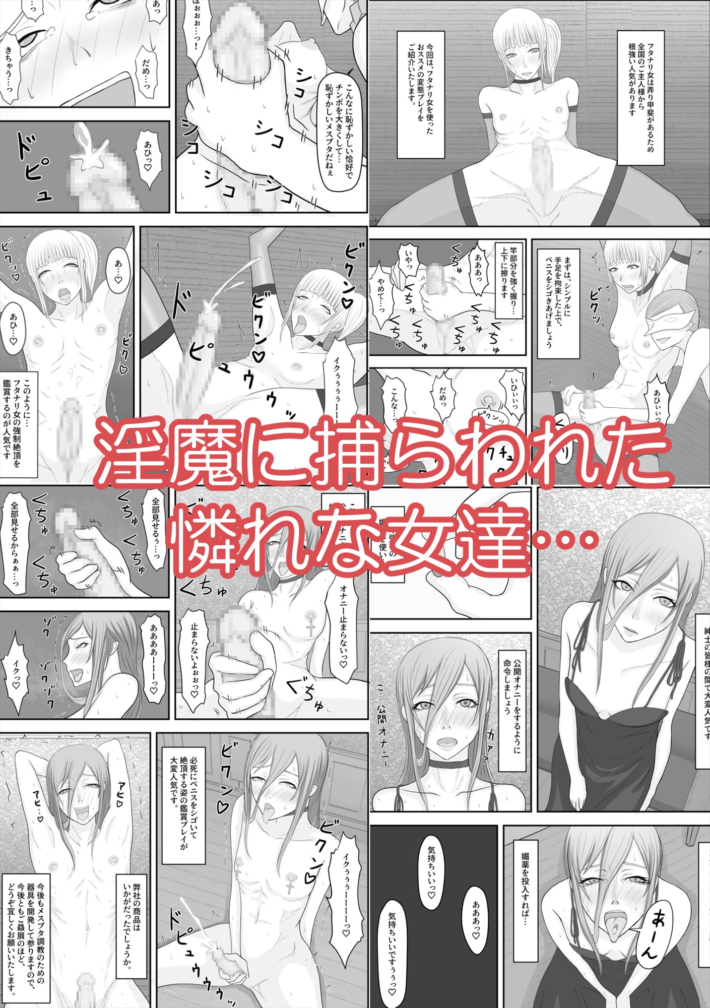 デビルハンター家畜化調教