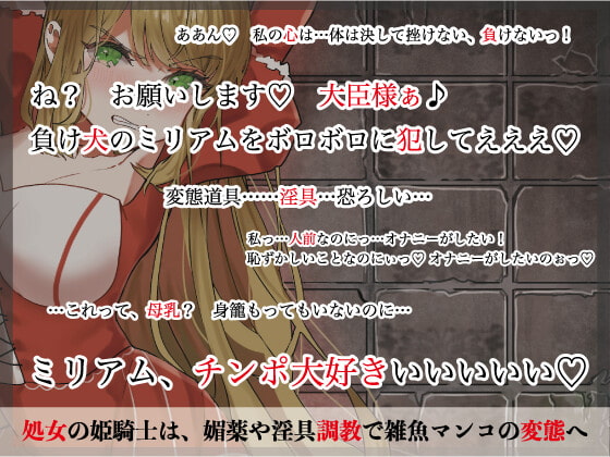 囚われた姫騎士〜好色大臣の淫獄に堕ちる/三種の淫具篇〜