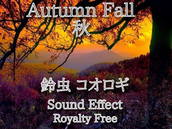 秋 鈴虫 コオロギ 環境音 ループ 効果音♪