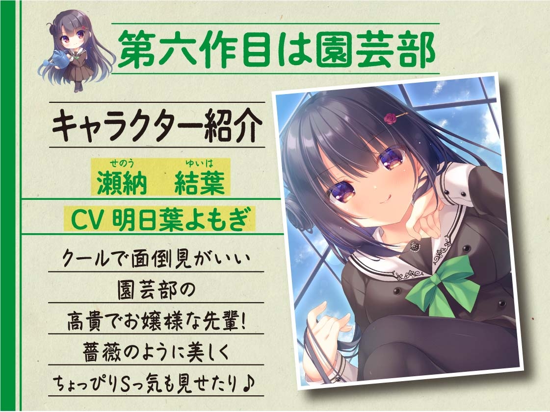 【ハイレゾ×KU100】七森学園部活動まとめパック!