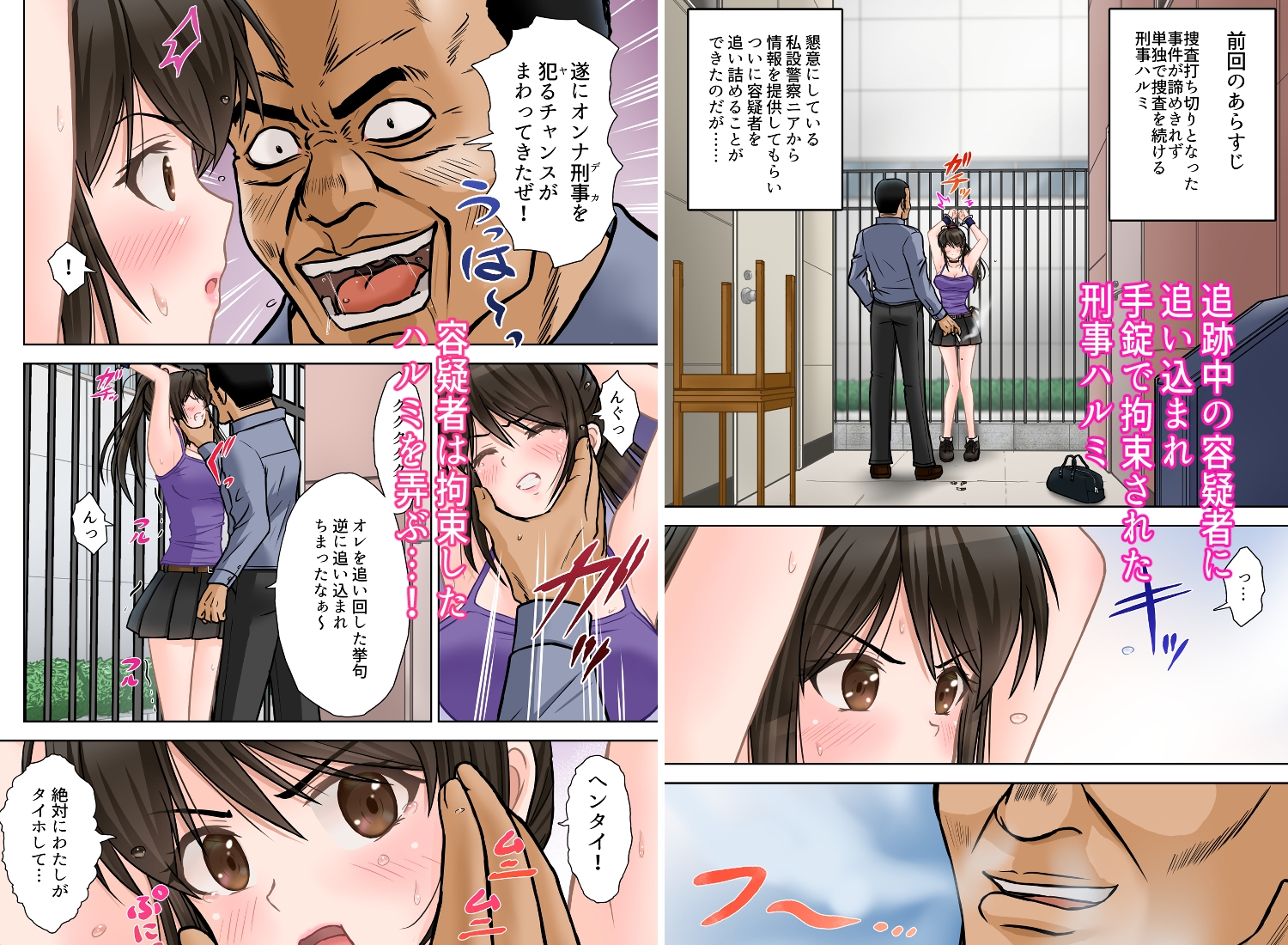 刑事ハルミ(中編) 恥辱の不法侵入