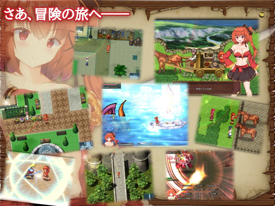 섬홍의 아리에스