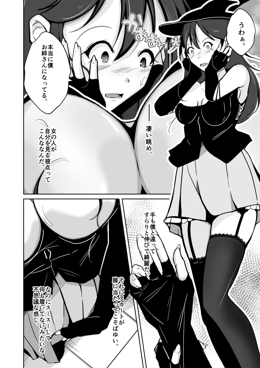 お姉さんに入れ替わりを強要され、女体の虜になった、僕。