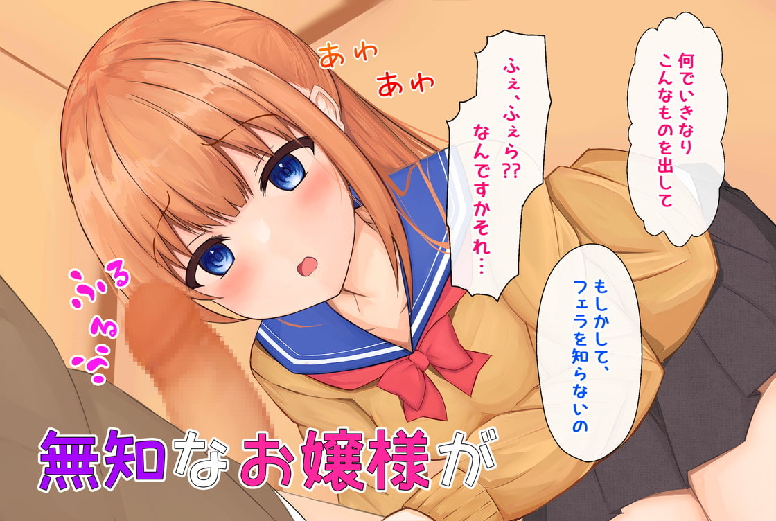 お嬢様、パパ活にはまる