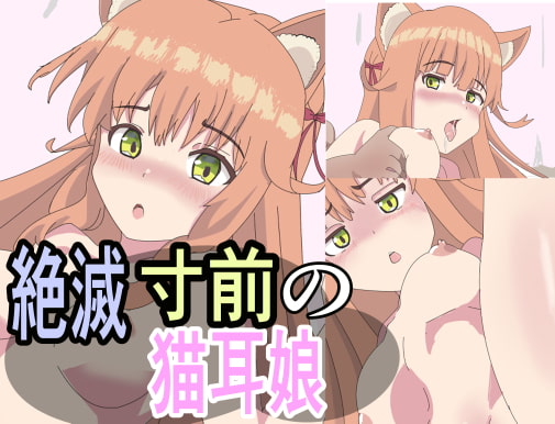 絶滅寸前の猫耳娘