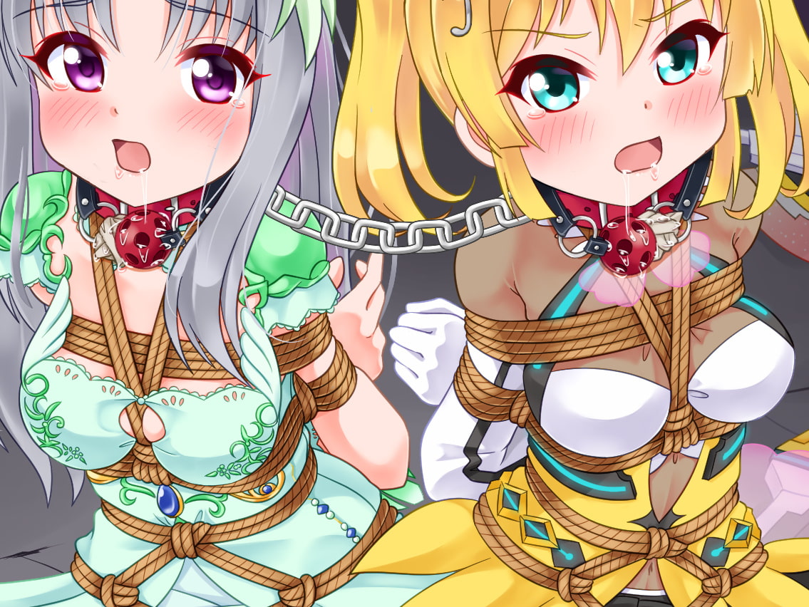 着衣緊縛CG集 なわのかなた 2021A