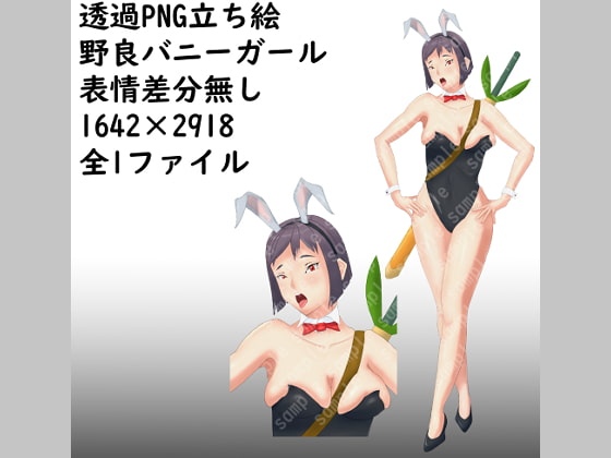 透過PNG立ち絵_野良バニーガール_表情差分無し