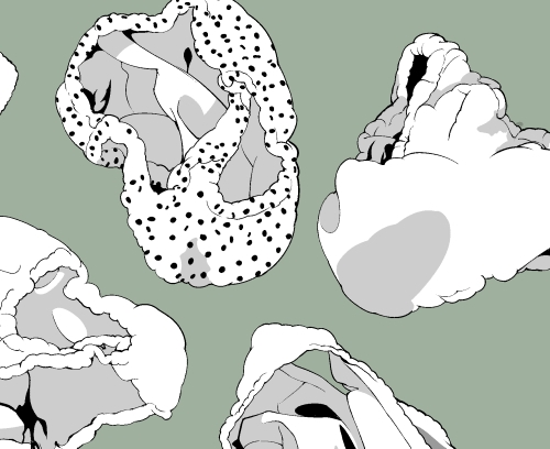 素材をどうぞ『散らかったぱんつ』