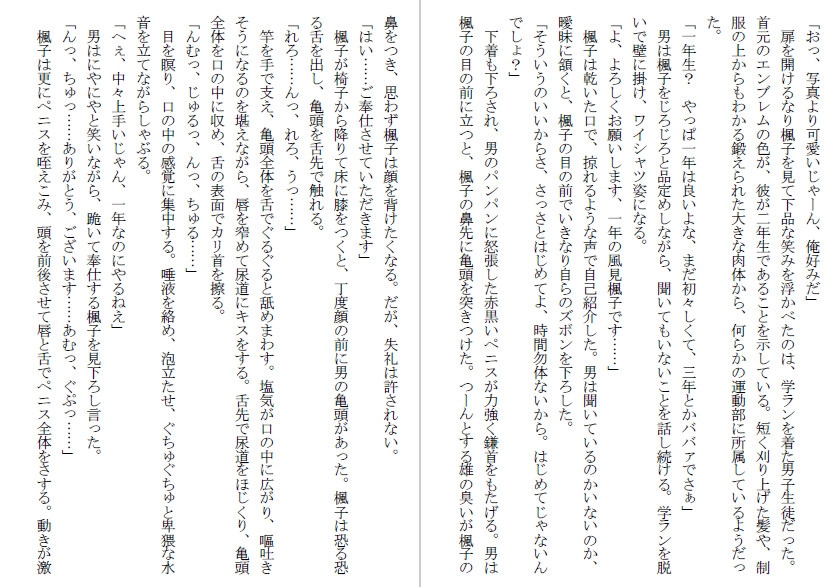 肉便器学園～女子生徒はエリートたちの性奴隷～