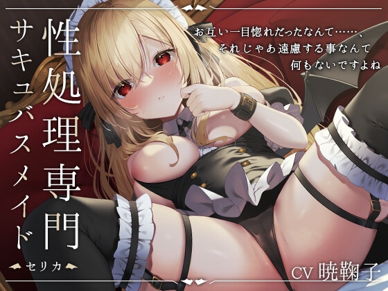 性処理専門サキュバスメイド -セリカ-