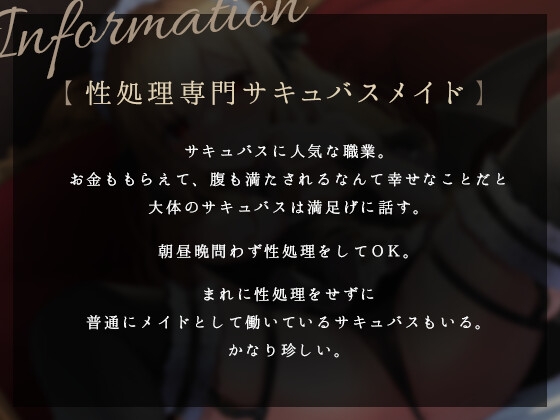 性処理専門サキュバスメイド -セリカ-
