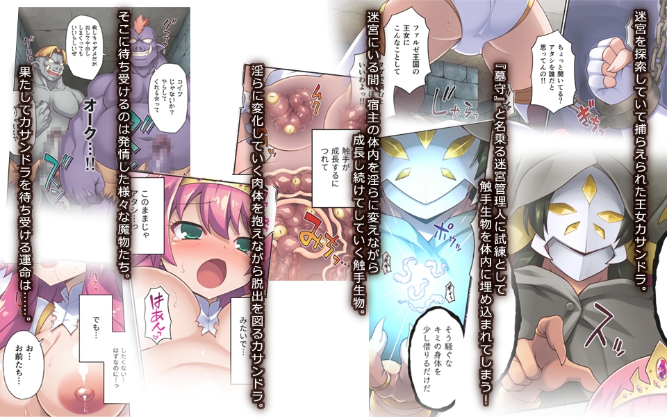 サクリファイスプリンセス～発情快楽器官へと改造された勇ましき王女～