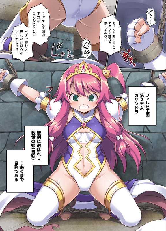 サクリファイスプリンセス～発情快楽器官へと改造された勇ましき王女～