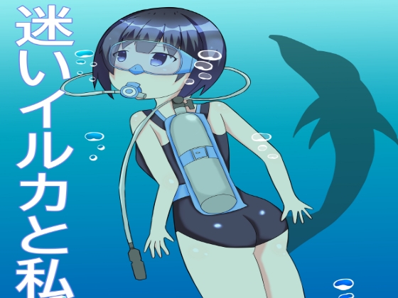 迷いイルカと私