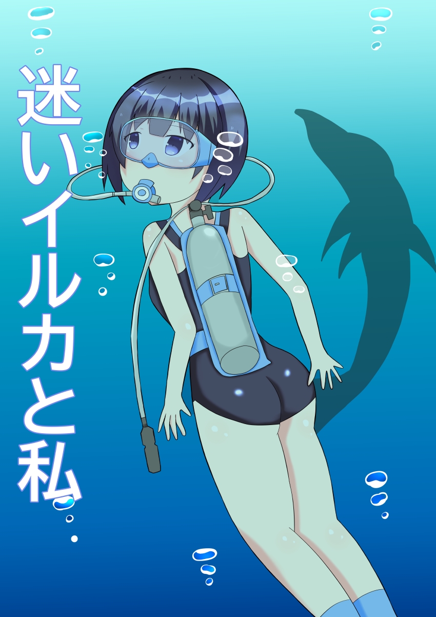 迷いイルカと私