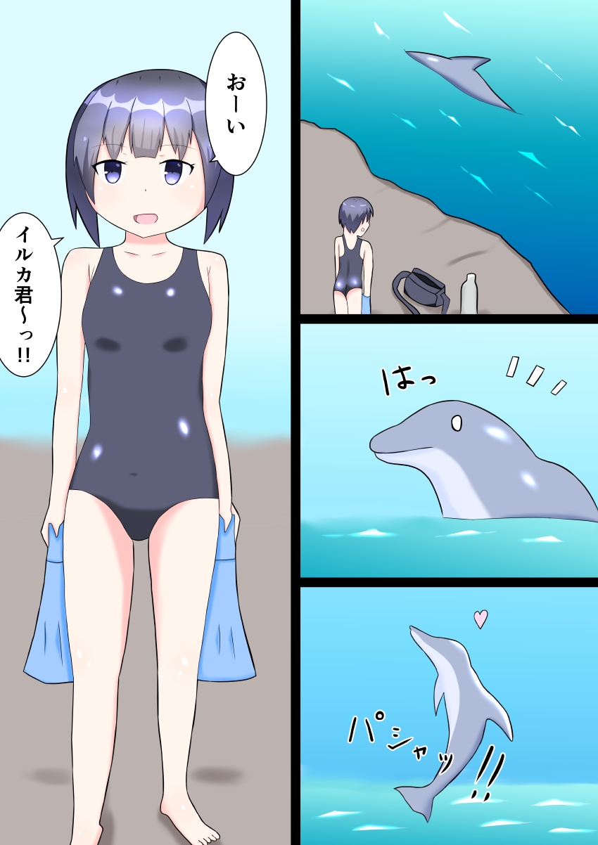 迷いイルカと私