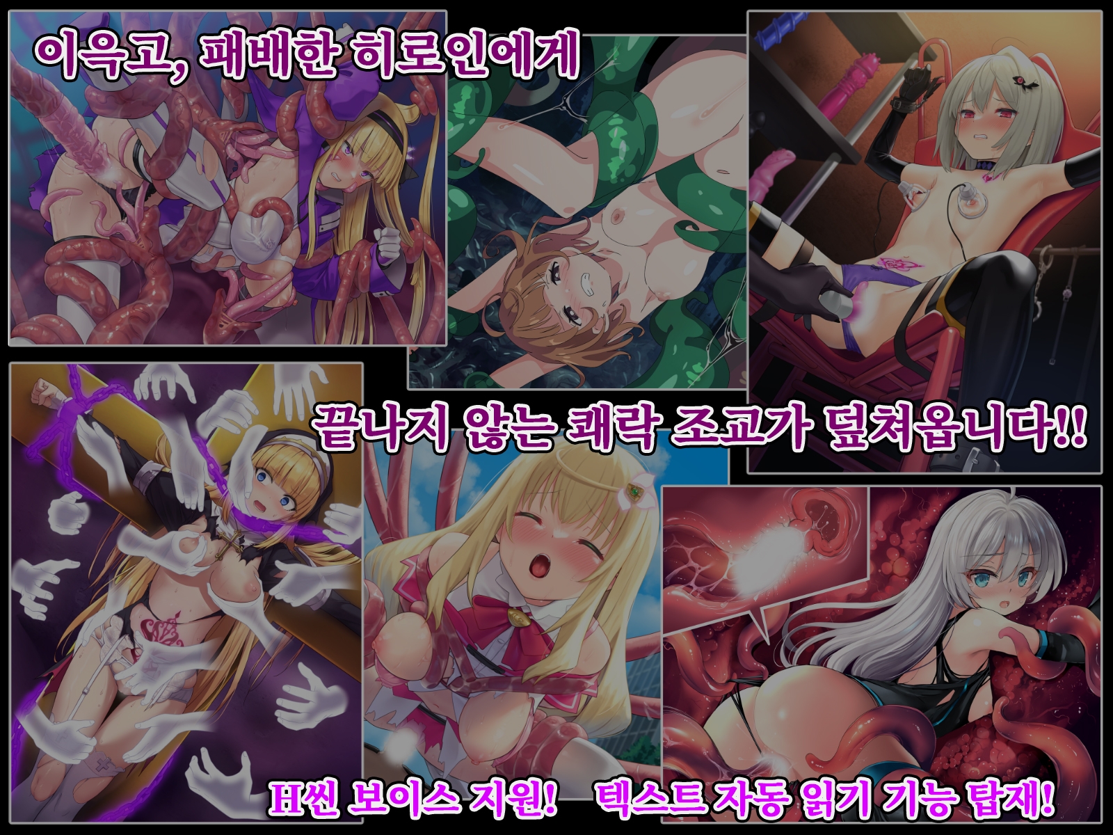 히로인즈 코드 -Heroines' Chord-【한국어판】