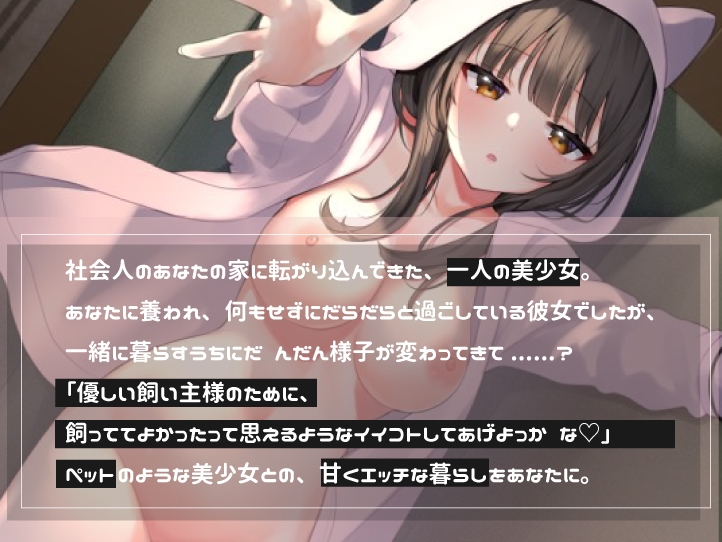 ダウナー系ペット娘の飼育日記