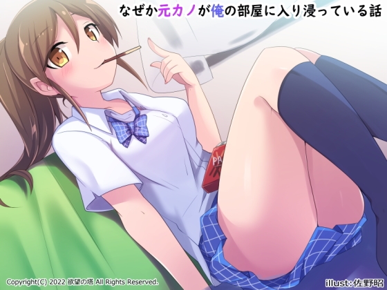 なぜか元カノが俺の部屋に入り浸っている話