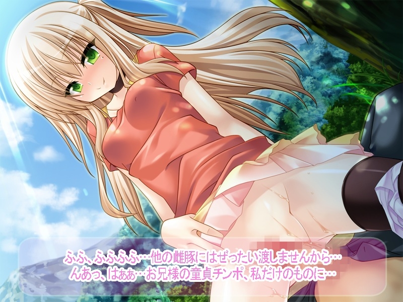 【新春福袋】アイドル&年下キャラとの子作りハーレム福袋!