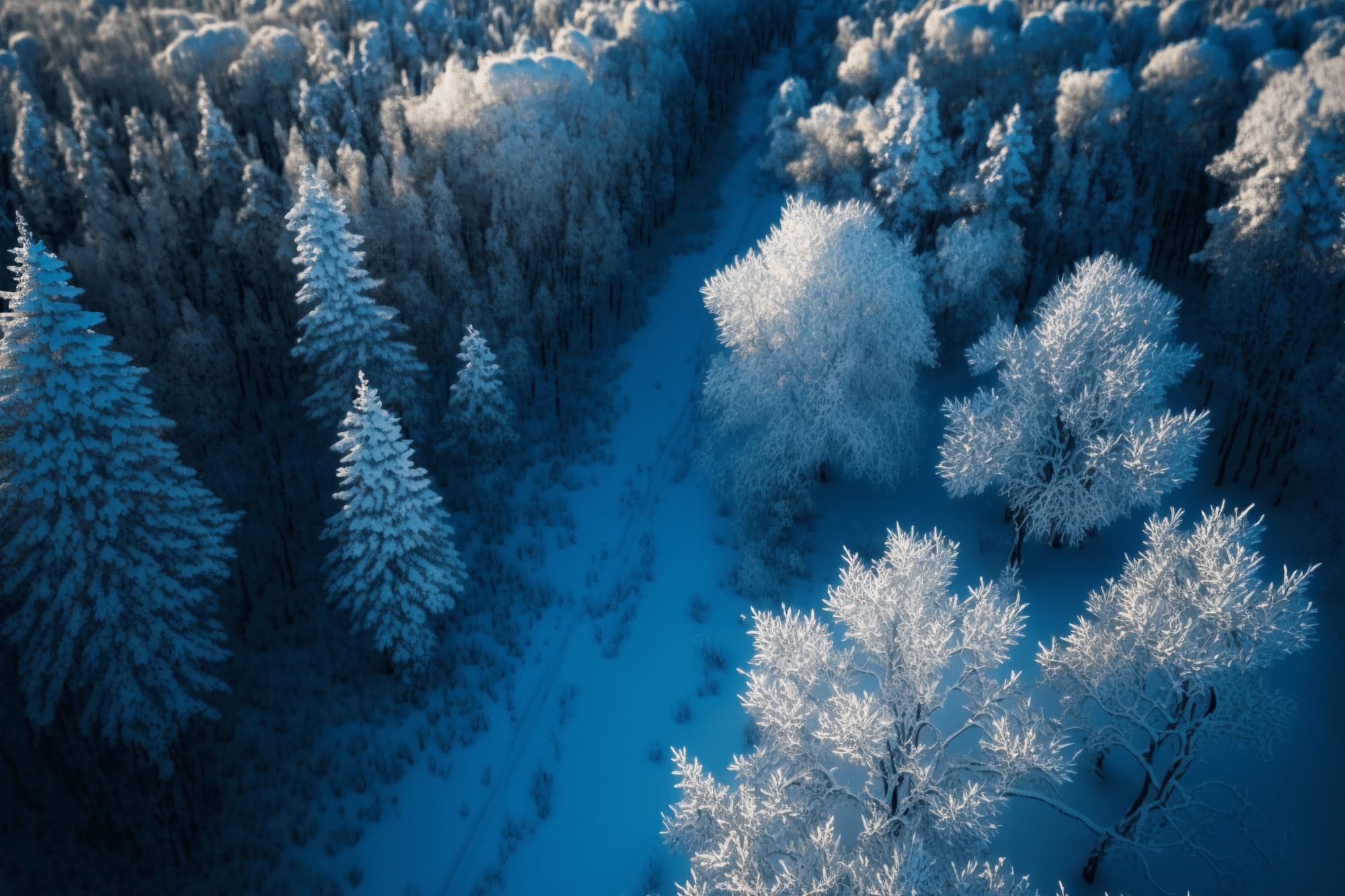 【超リアルな自然系イラスト背景】著作権フリーの高解像度画像(100枚)