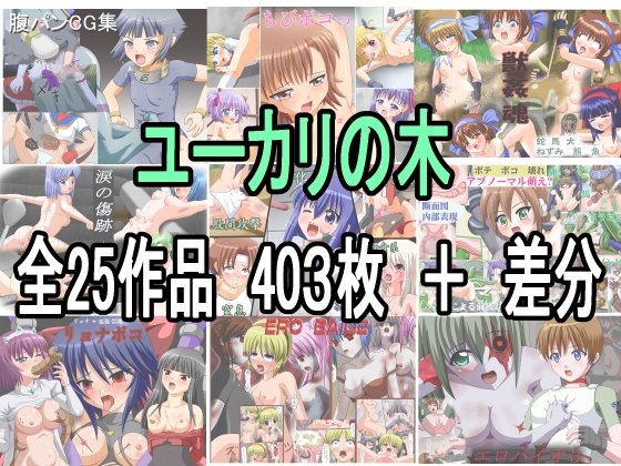 ユーカリの木 全25作品詰め合わせ