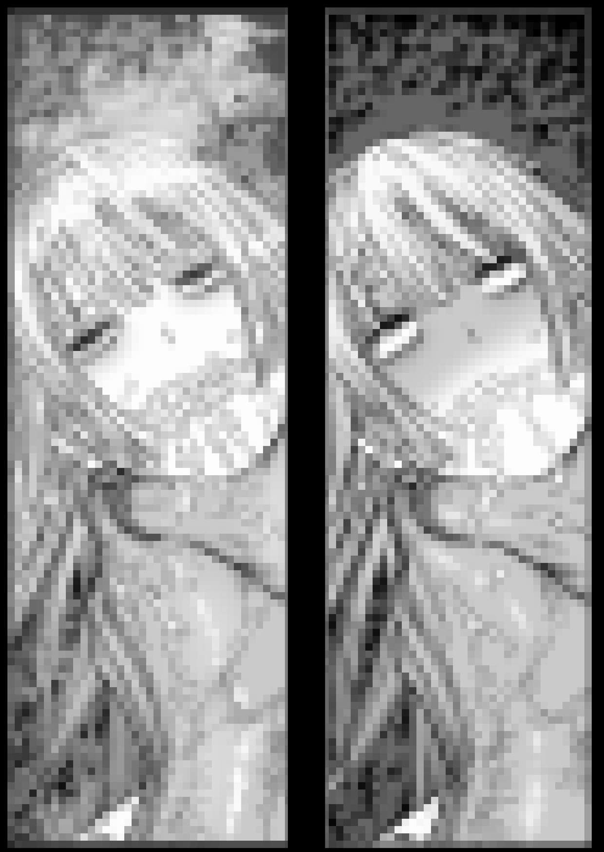 M3:DOMINATE 肉体と心を支配されたヒロインの末路