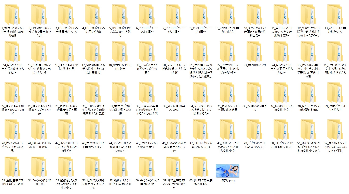 2022年に発売したCG集全作品セット(60本)