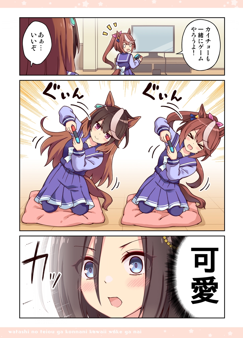 私のテイオーがこんなに可愛いわけがない!