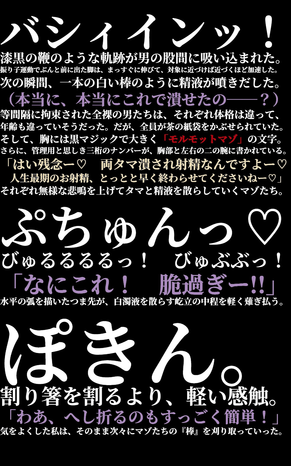 金蹴り去勢屋さんが征くっ! 《実験編・自宅強襲編》