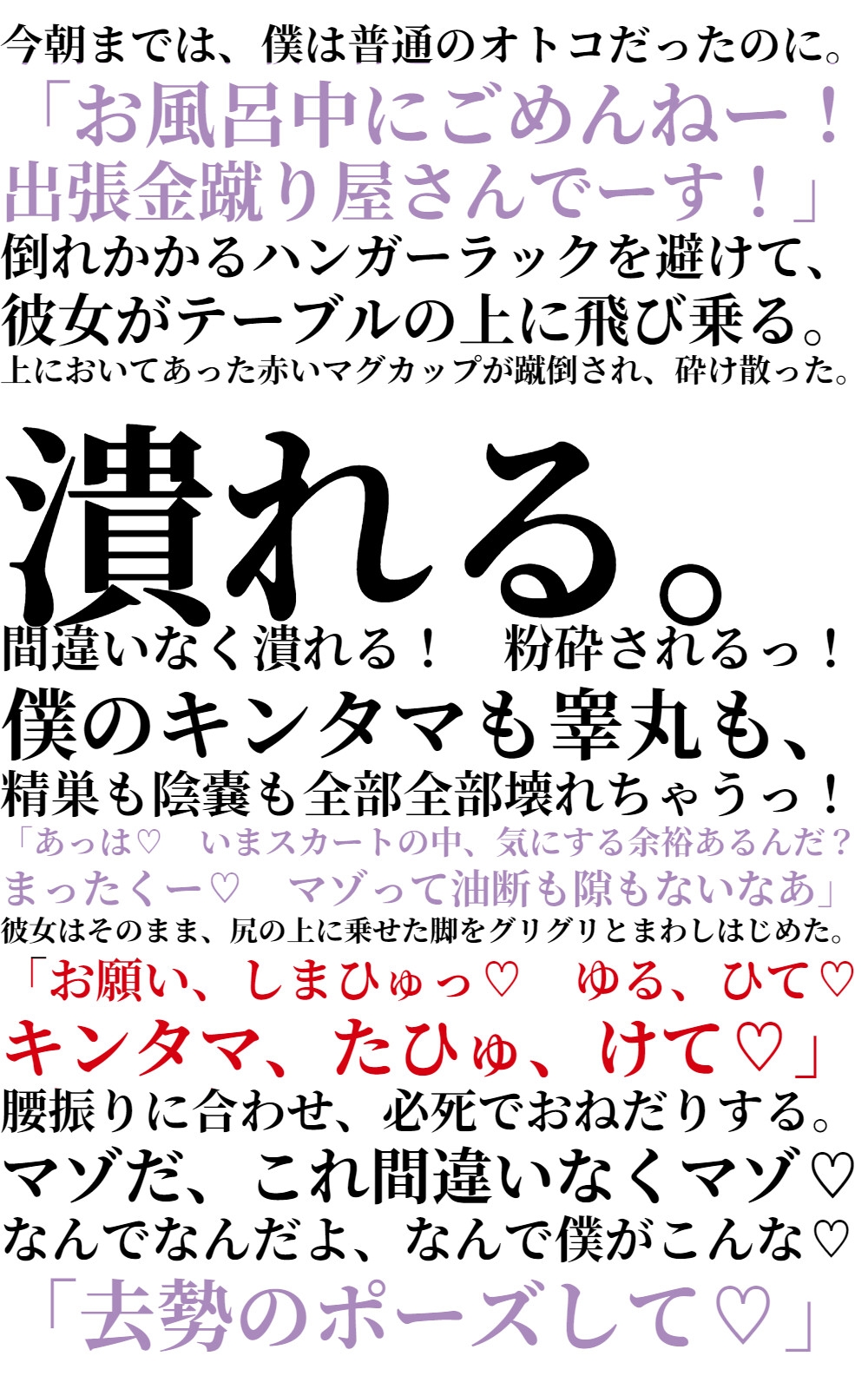 金蹴り去勢屋さんが征くっ! 《実験編・自宅強襲編》