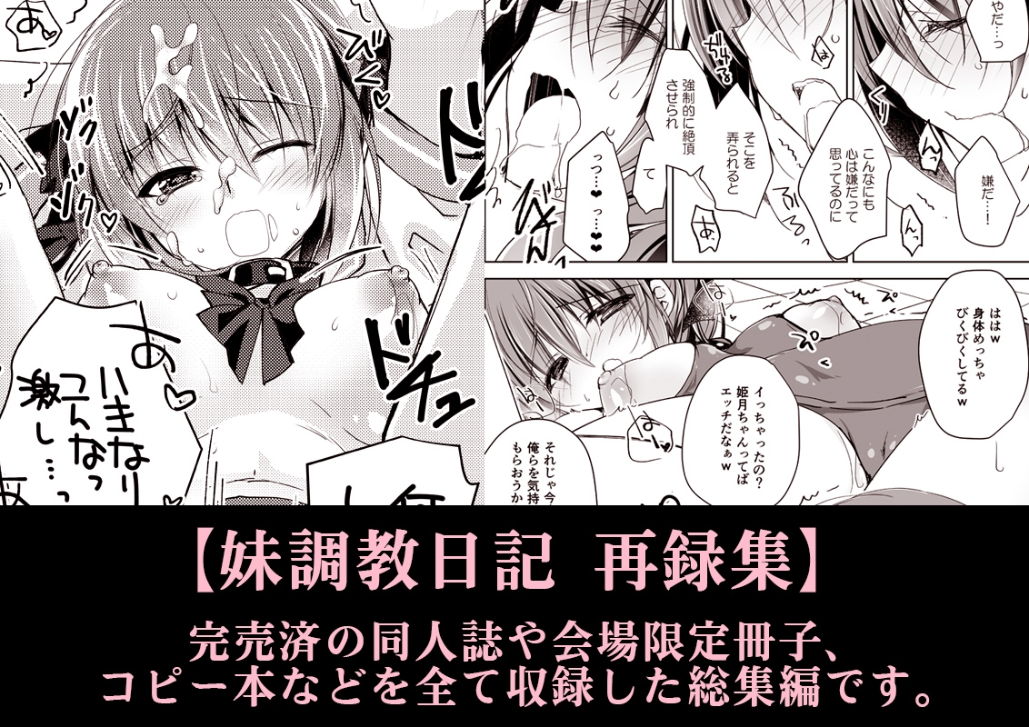 妹調教日記再録集