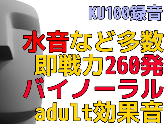 【全260発】バイノーラル効果音スターターパック for adult - Made by 來緯