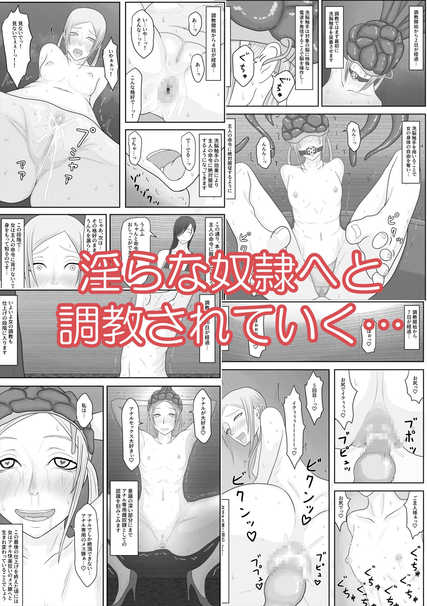 モデル洗脳 排泄奴隷調教