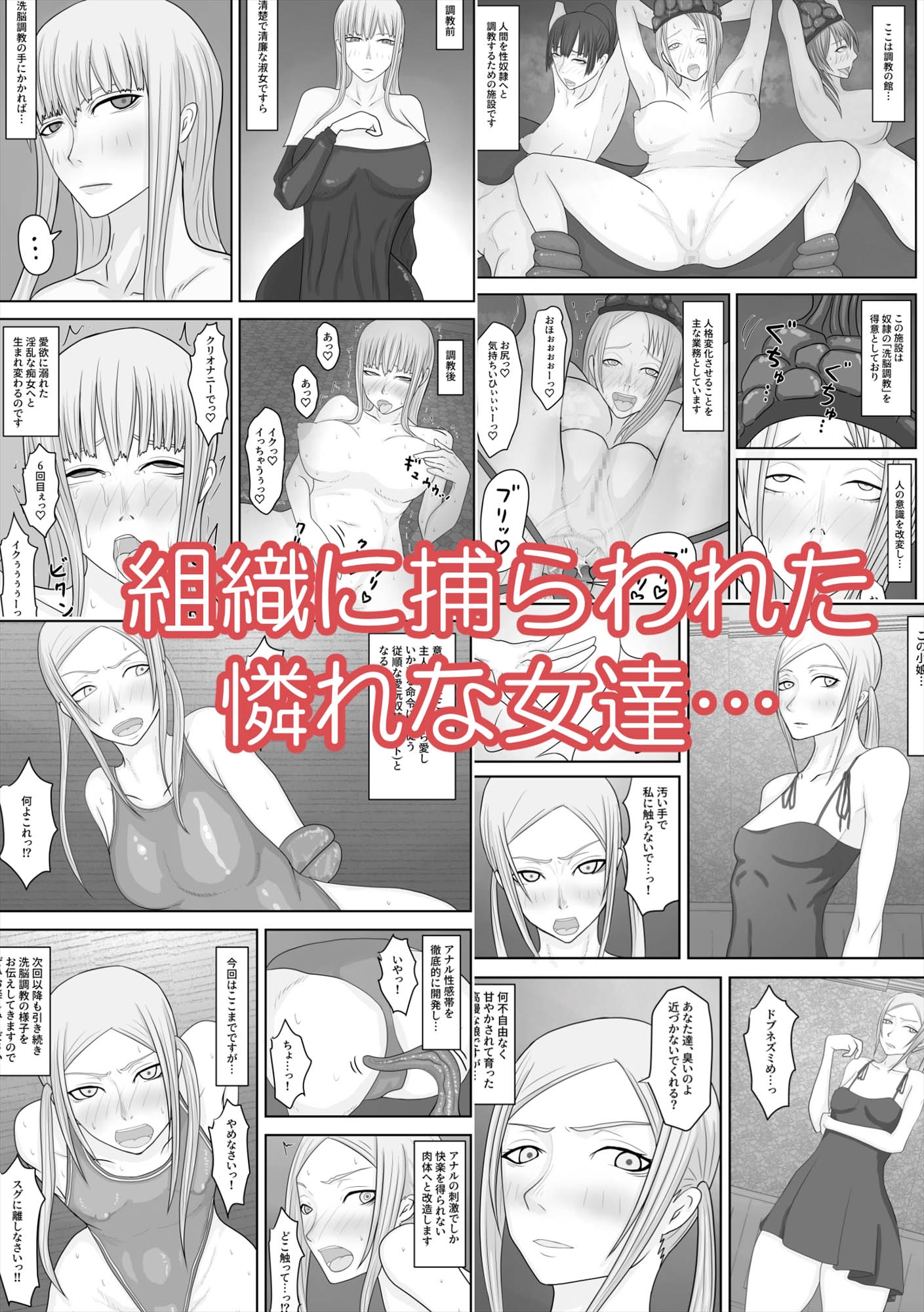 モデル洗脳 排泄奴隷調教