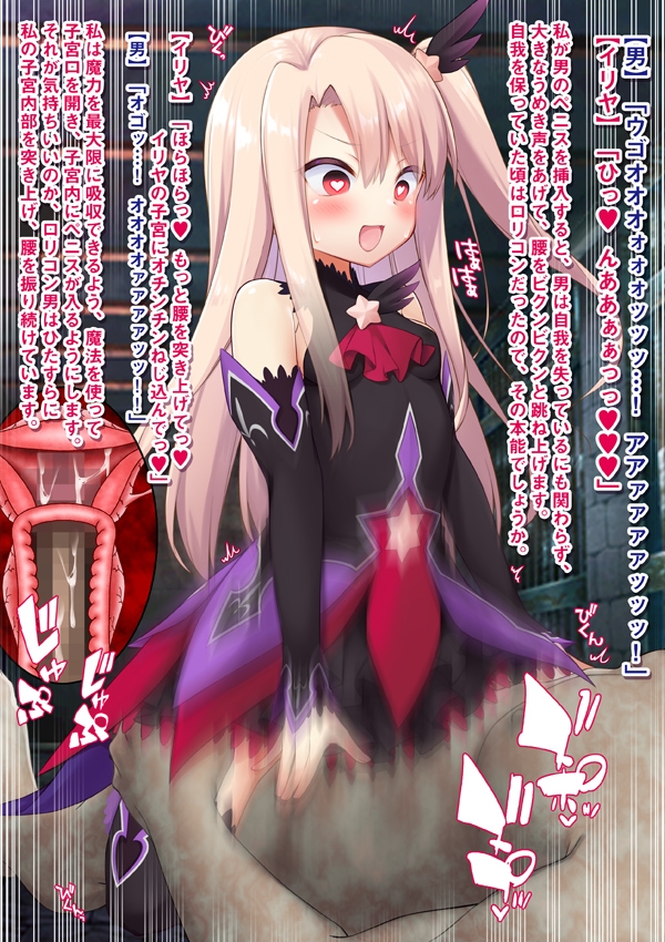 逆レ獣姦魔法少女イリヤちゃん