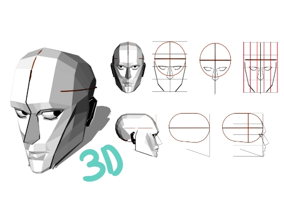 3D reference model head with lines and moving eyes