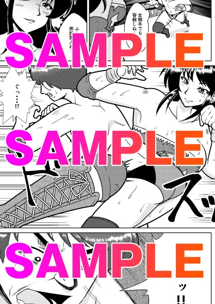 お天気ファイター晴南〜快晴編〜