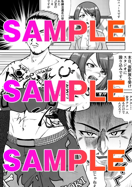 お天気ファイター晴南〜快晴編〜