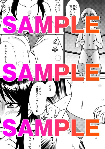 お天気ファイター晴南〜快晴編〜