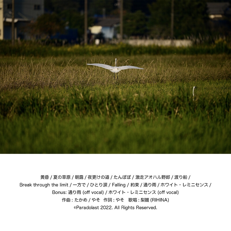 アオハルディストーション Chapter.3 SOUND TRACK