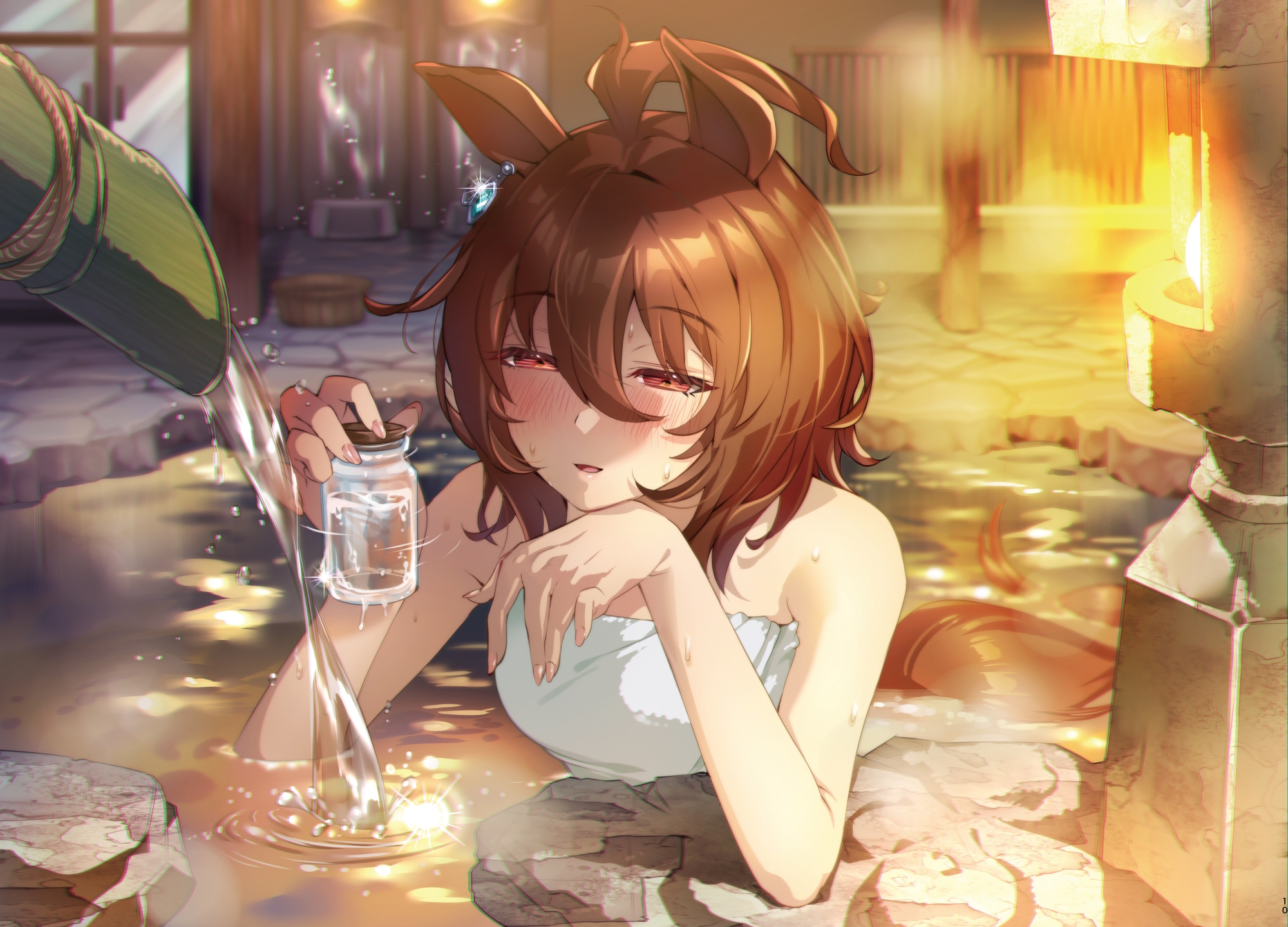 モルモットの見た夢