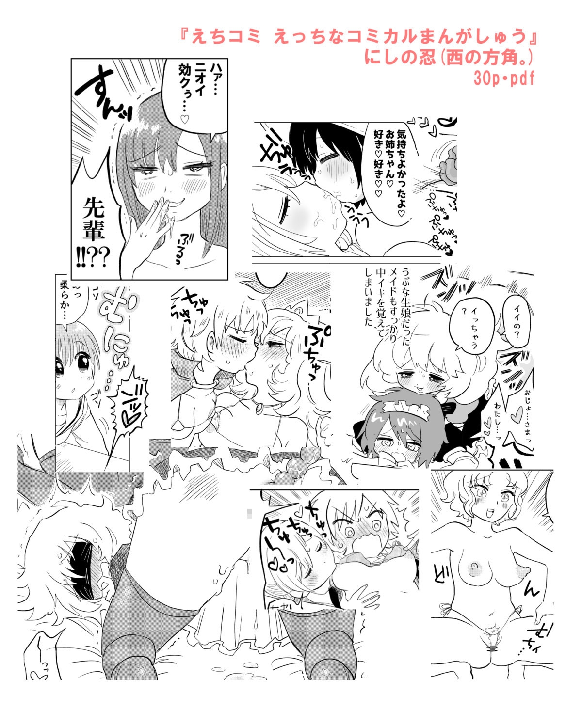 えちコミ えっちなコミカルまんがしゅう