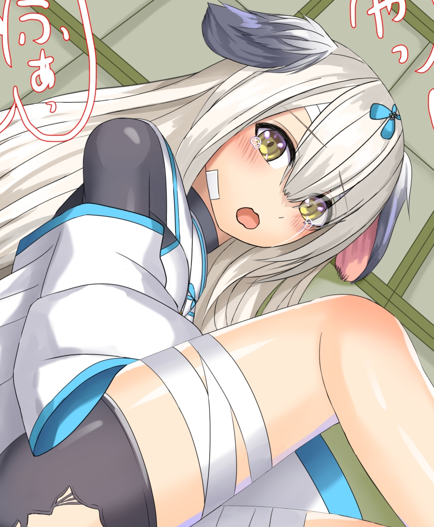 アズレンえち本