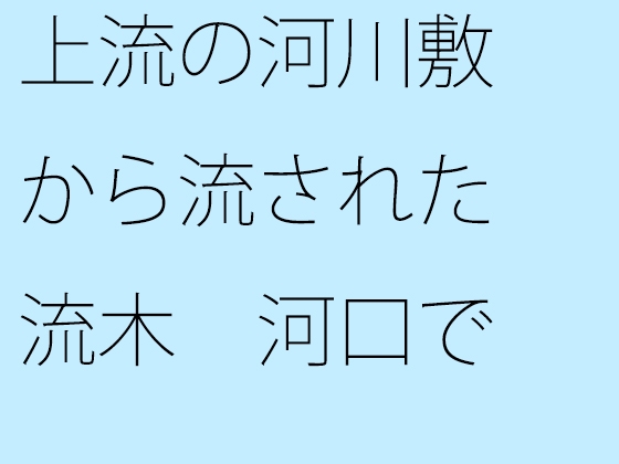 上流の河川敷から流された流木 河口でとある旅人に拾われて