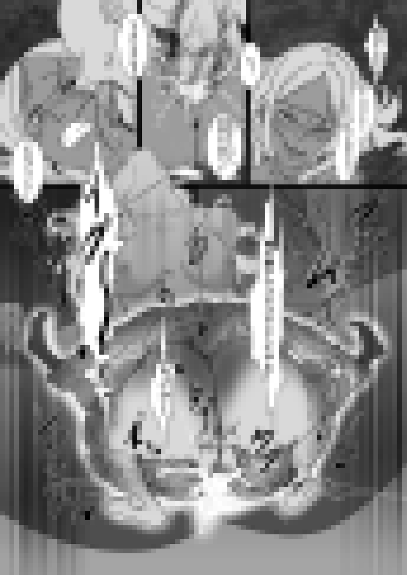 サキュバス王女リーリア01 サキュバスの晩餐会