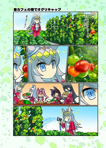 幸せライス!(みんなを幸せにしたいライスシャワー11)